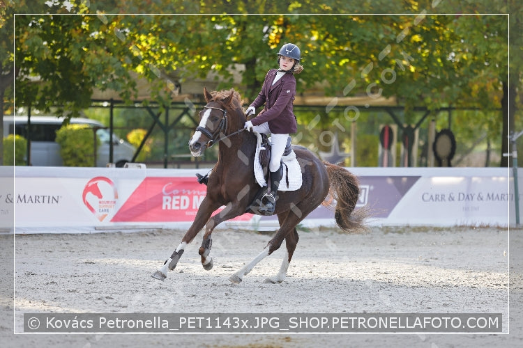 A kép az eredeti csökkentett reprezentációja
