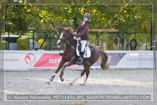 A kép az eredeti csökkentett reprezentációja