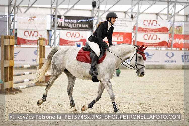 A kép az eredeti csökkentett reprezentációja