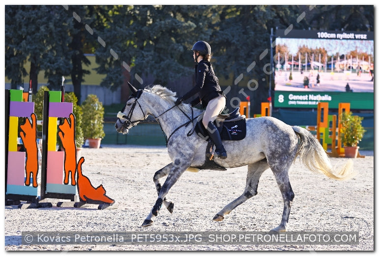 A kép az eredeti csökkentett reprezentációja