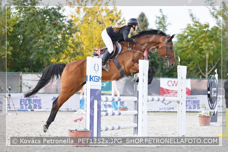 A kép az eredeti csökkentett reprezentációja