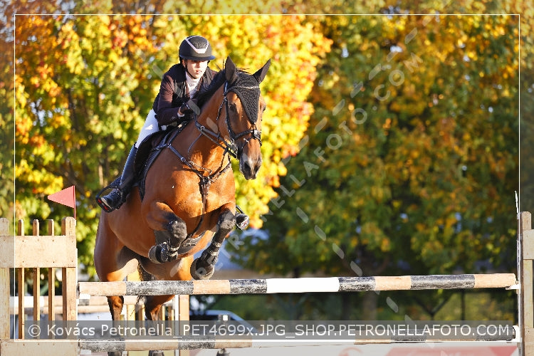 A kép az eredeti csökkentett reprezentációja