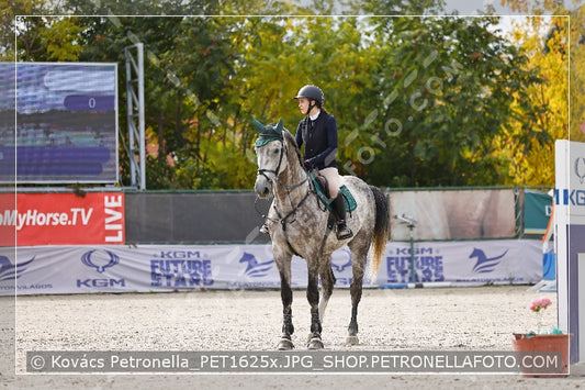 A kép az eredeti csökkentett reprezentációja