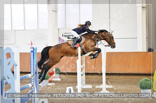 A kép az eredeti csökkentett reprezentációja