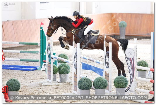A kép az eredeti csökkentett reprezentációja