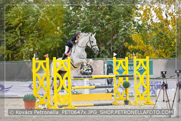 A kép az eredeti csökkentett reprezentációja