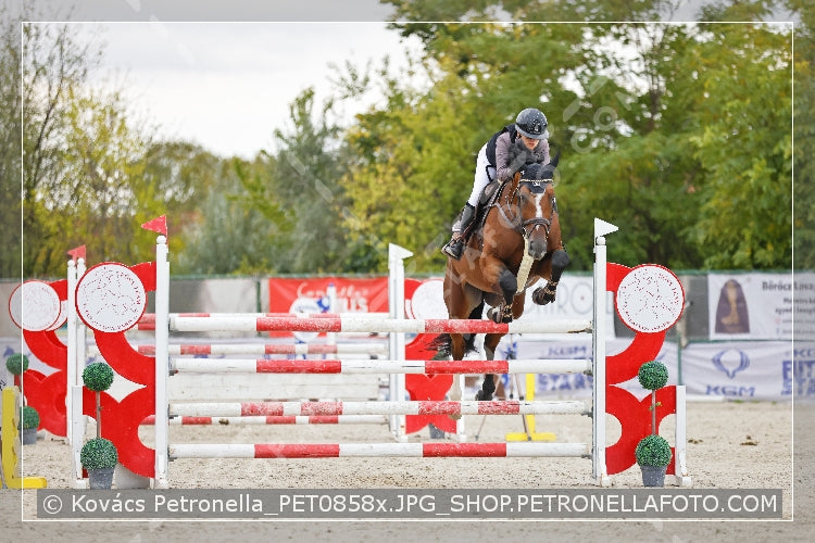 A kép az eredeti csökkentett reprezentációja
