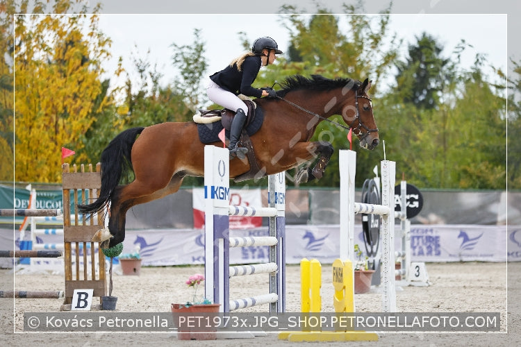 A kép az eredeti csökkentett reprezentációja