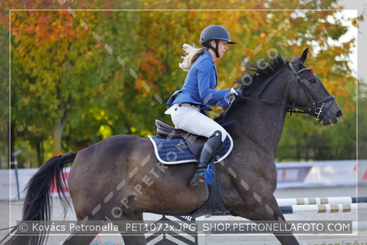 A kép az eredeti csökkentett reprezentációja