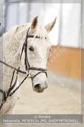 A kép az eredeti csökkentett reprezentációja