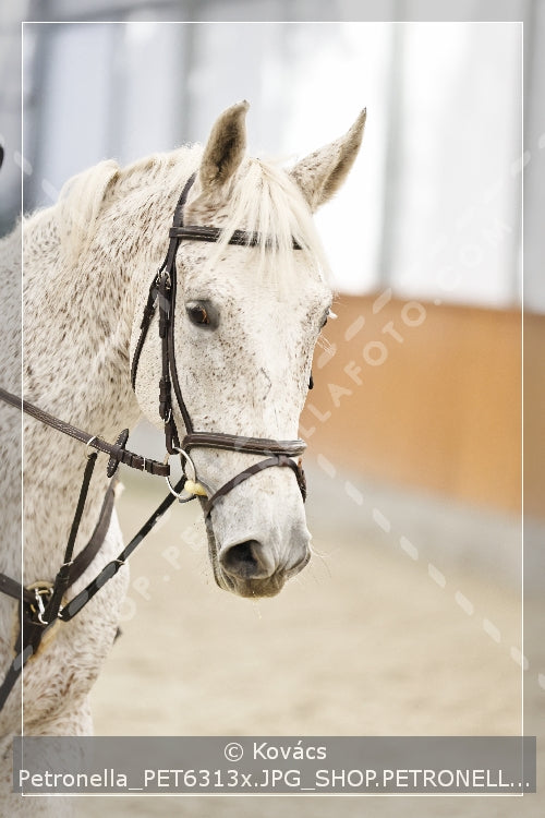 A kép az eredeti csökkentett reprezentációja