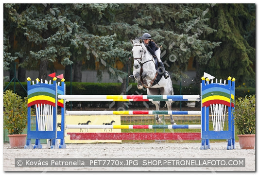A kép az eredeti csökkentett reprezentációja