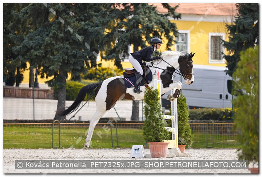 A kép az eredeti csökkentett reprezentációja