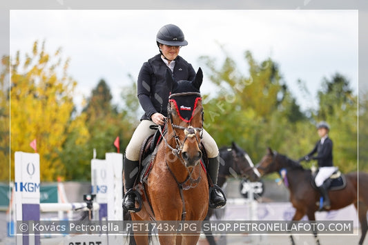A kép az eredeti csökkentett reprezentációja