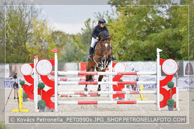 A kép az eredeti csökkentett reprezentációja