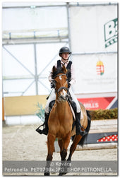 A kép az eredeti csökkentett reprezentációja