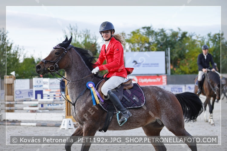A kép az eredeti csökkentett reprezentációja