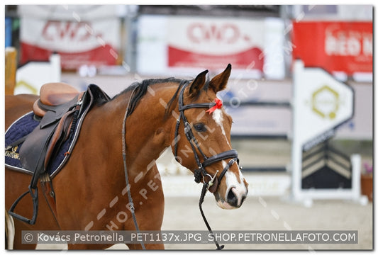 A kép az eredeti csökkentett reprezentációja
