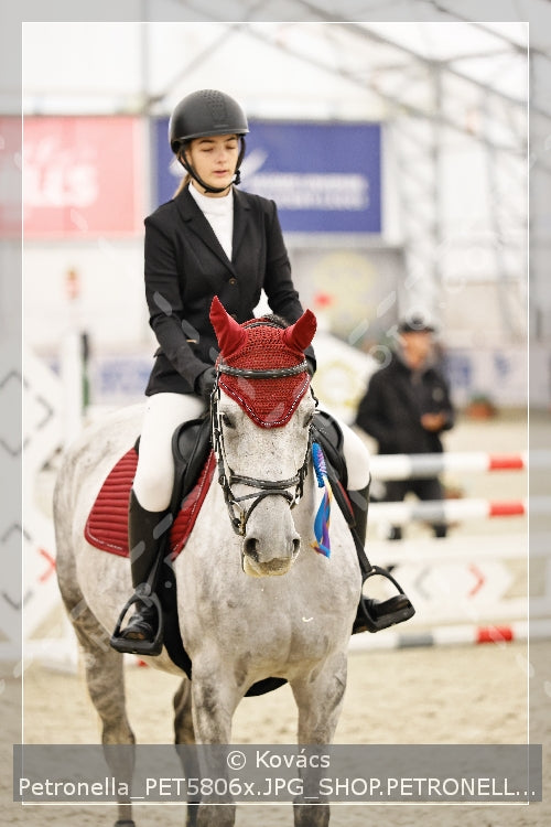 A kép az eredeti csökkentett reprezentációja