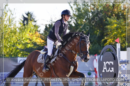 A kép az eredeti csökkentett reprezentációja