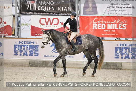 A kép az eredeti csökkentett reprezentációja