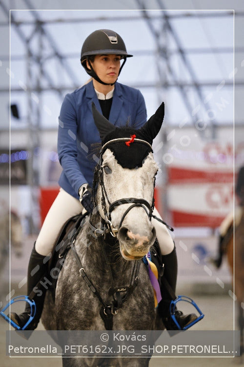 A kép az eredeti csökkentett reprezentációja