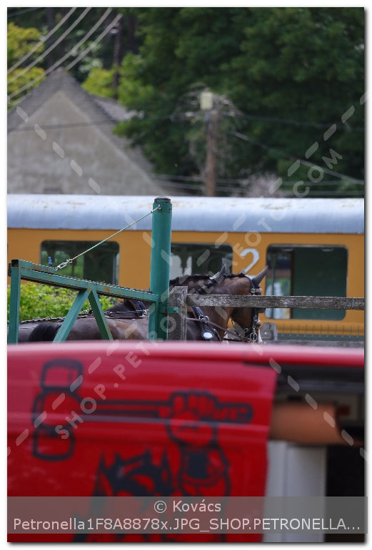 A kép az eredeti csökkentett reprezentációja