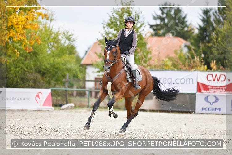 A kép az eredeti csökkentett reprezentációja
