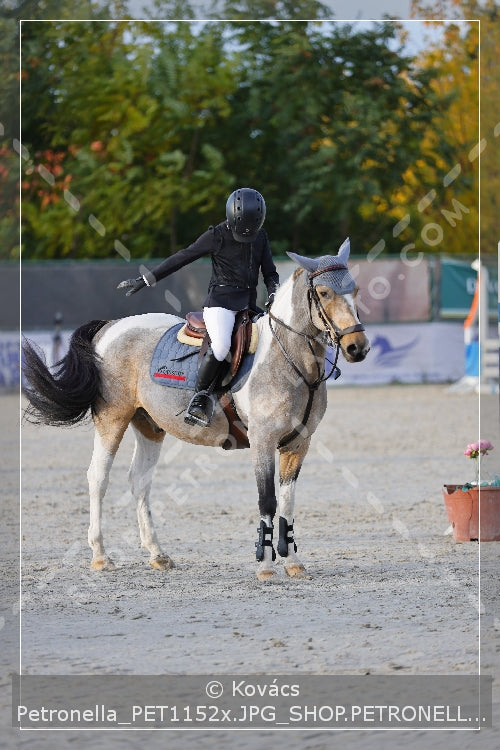 A kép az eredeti csökkentett reprezentációja