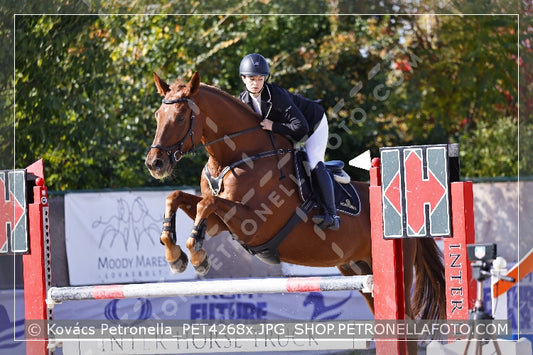 A kép az eredeti csökkentett reprezentációja