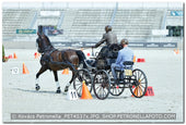 A kép az eredeti csökkentett reprezentációja