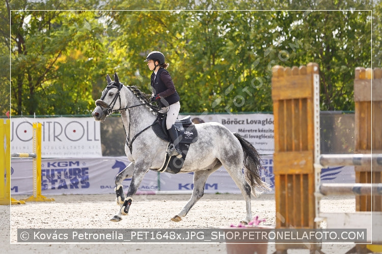 A kép az eredeti csökkentett reprezentációja