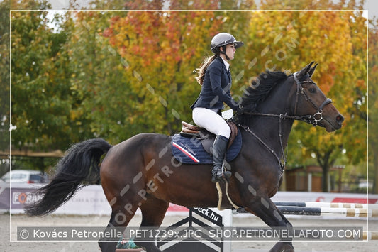 A kép az eredeti csökkentett reprezentációja