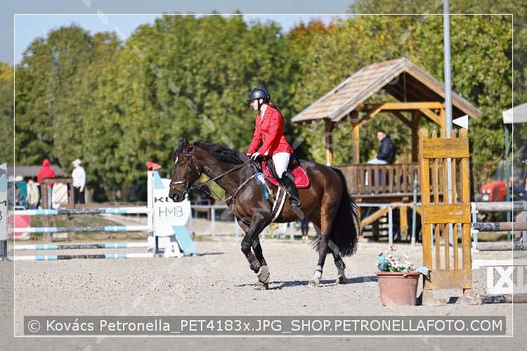A kép az eredeti csökkentett reprezentációja