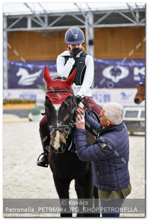 A kép az eredeti csökkentett reprezentációja