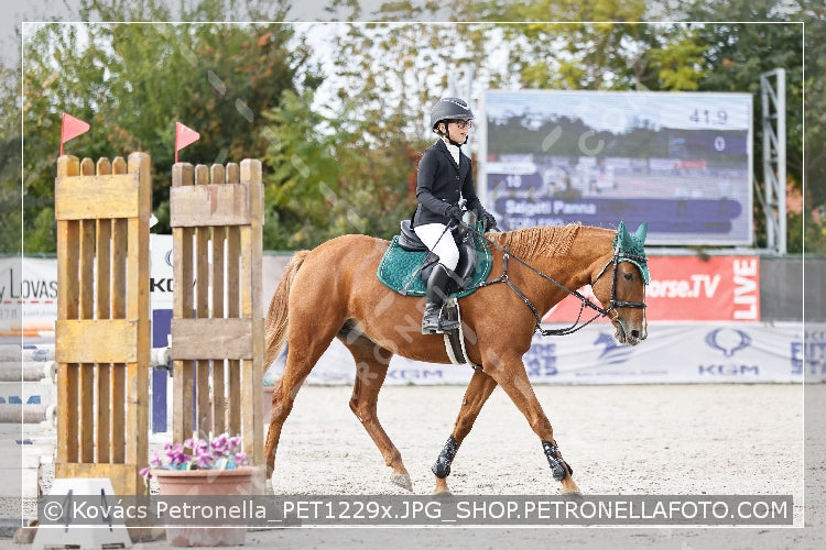 A kép az eredeti csökkentett reprezentációja