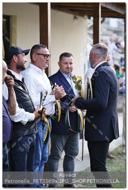 A kép az eredeti csökkentett reprezentációja