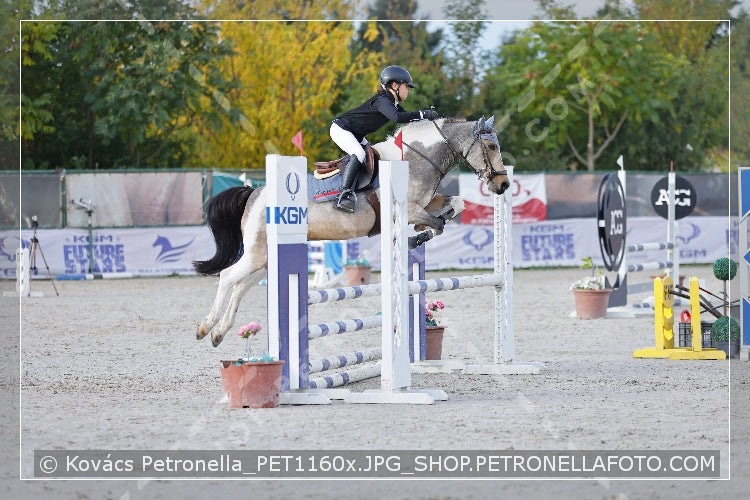 A kép az eredeti csökkentett reprezentációja