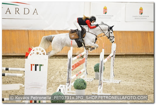 A kép az eredeti csökkentett reprezentációja