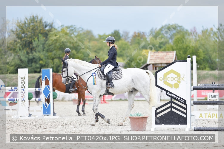 A kép az eredeti csökkentett reprezentációja