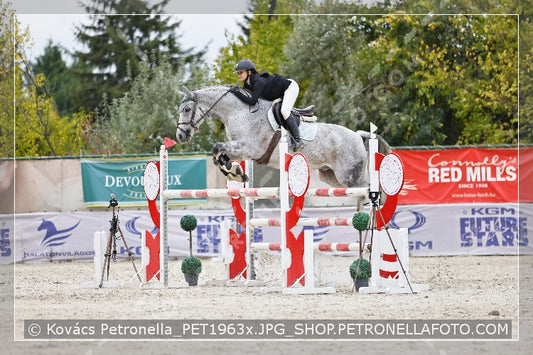 A kép az eredeti csökkentett reprezentációja