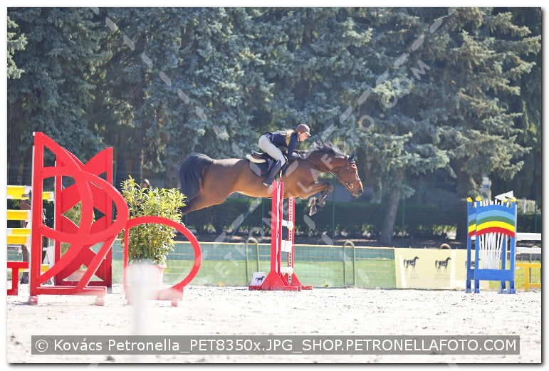 A kép az eredeti csökkentett reprezentációja