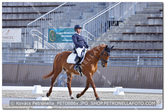 A kép az eredeti csökkentett reprezentációja