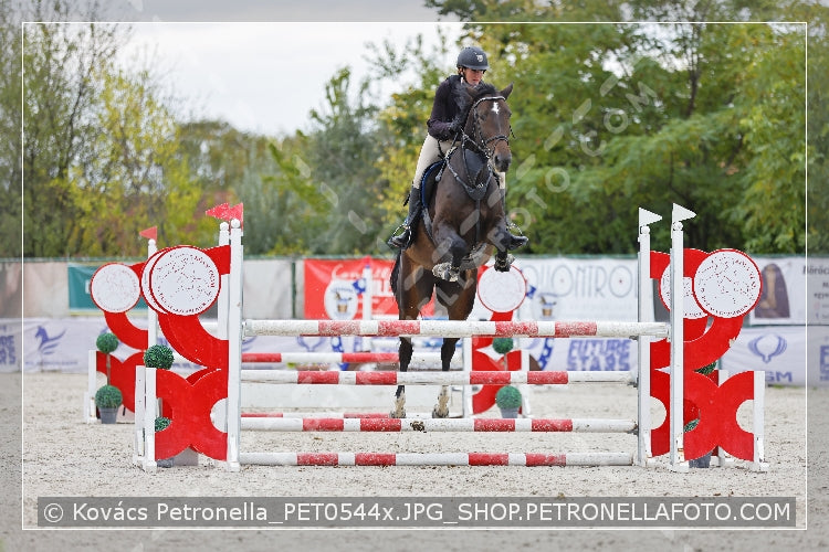 A kép az eredeti csökkentett reprezentációja