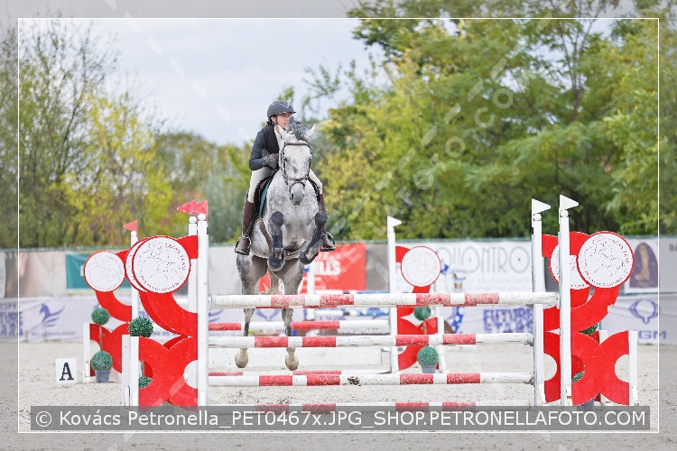 A kép az eredeti csökkentett reprezentációja
