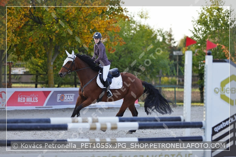 A kép az eredeti csökkentett reprezentációja
