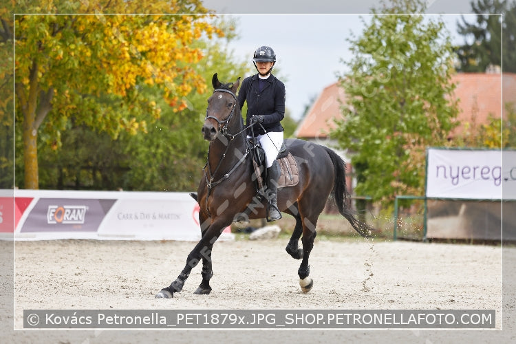 A kép az eredeti csökkentett reprezentációja
