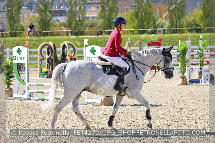 A kép az eredeti csökkentett reprezentációja