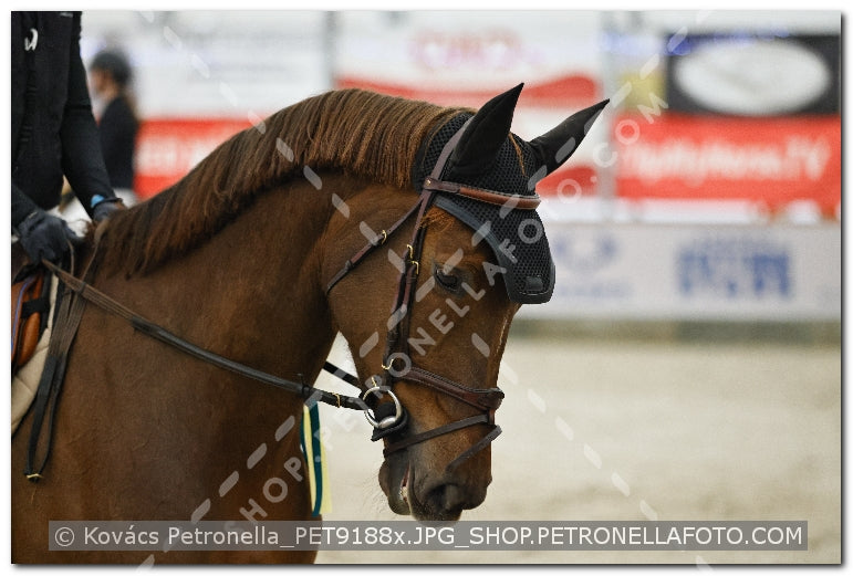A kép az eredeti csökkentett reprezentációja