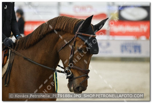 A kép az eredeti csökkentett reprezentációja